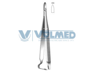 Blade Holder & Breaker - Length = 11 cm / 4-1/2"