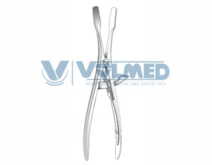 Terrier Mouth Gag - Length = 20 cm / 8", Curved