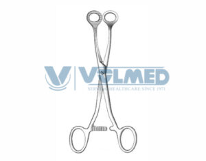 Collin Tongue Holding Forcep - Length = 16 cm / 6-1/4"