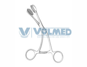 Young Tongue Holding Forcep - Length = 17 cm / 6-3/4"