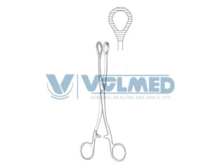 Heywood-Smith Rectal Biopsy Forcep - Length = 20 cm / 8"